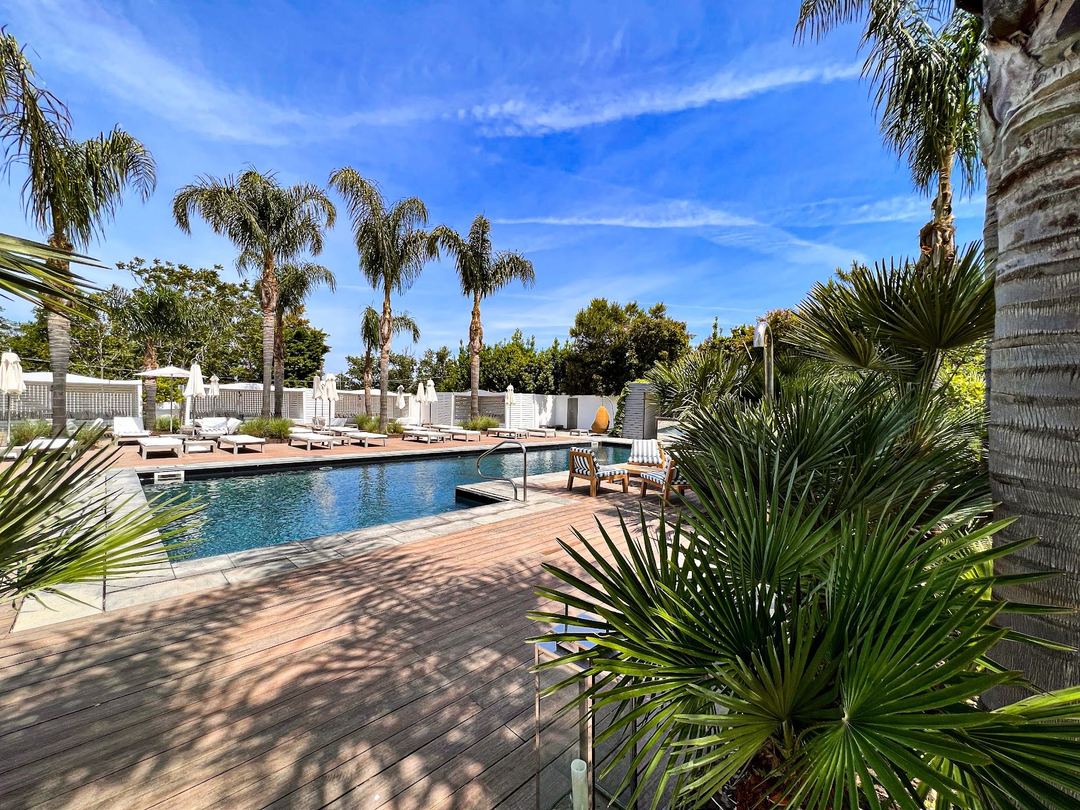 The hotel's outdoor swimming pool surrounded by tropical palm trees, wooden deck, white loungers, and a clear blue sky.