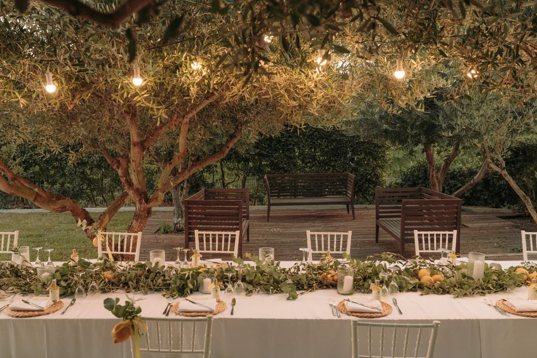 An elegant outdoor dining setup under illuminated olive trees with a long table decorated with greenery garland and place settings.